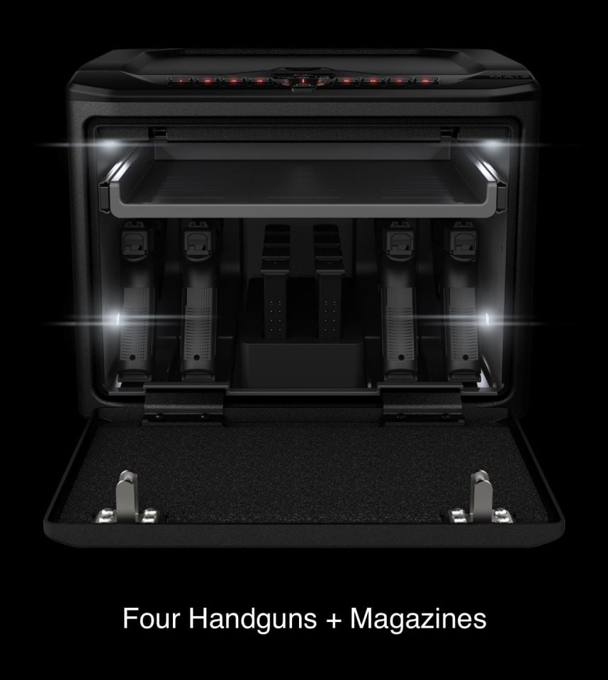 VAULTEK MX30 SERİES