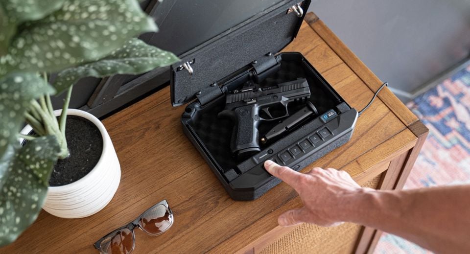 ✦VAULTEK MX10 Series