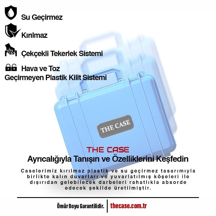THE CASE
